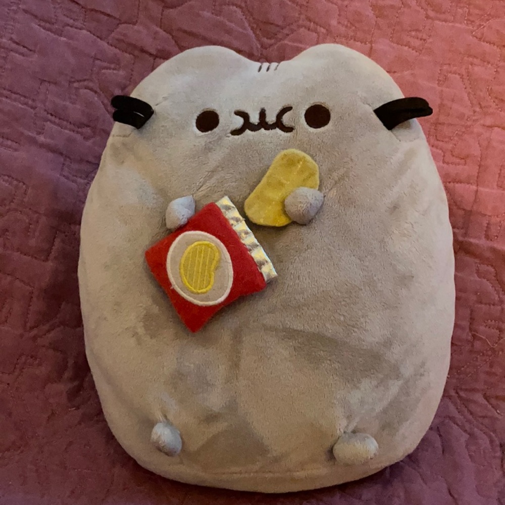 Pusheen with potato chips